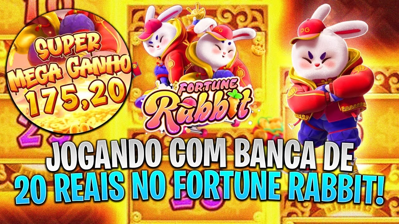 147bet gpd win cassino Jogue online